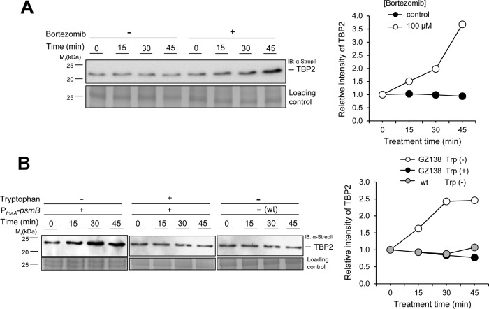 FIG 2 