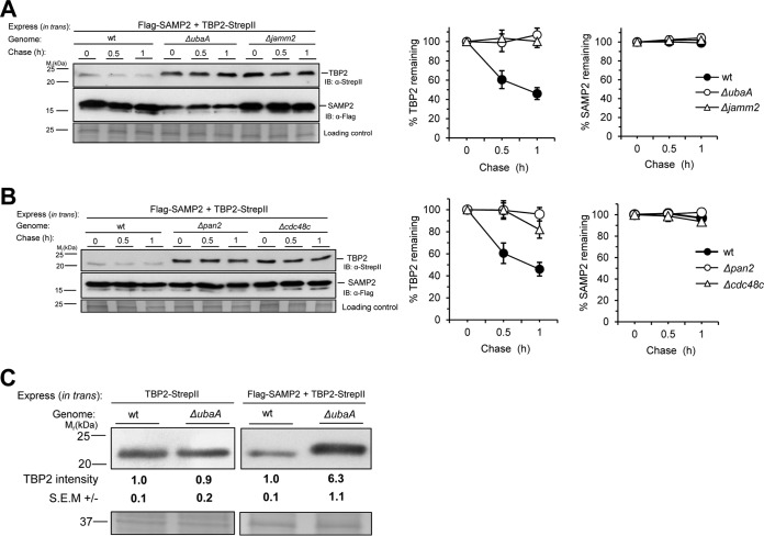 FIG 3 