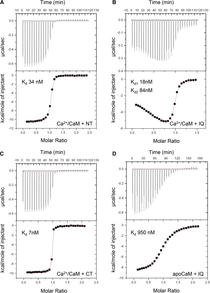 Figure 3.