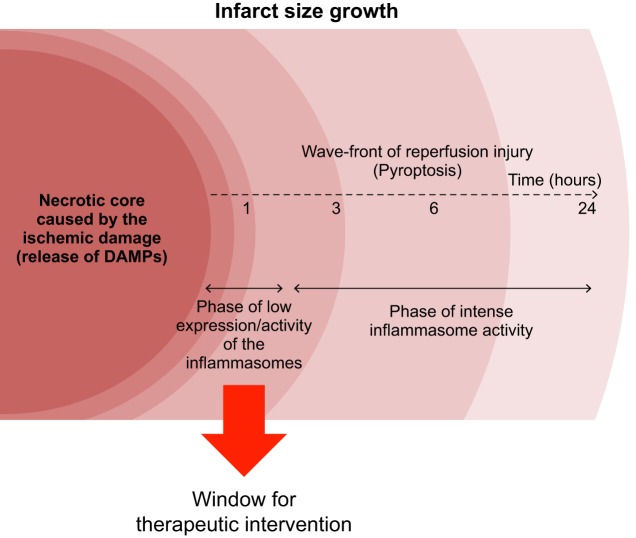 Fig. 3.