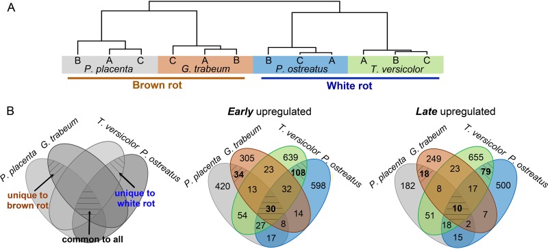 FIG 2