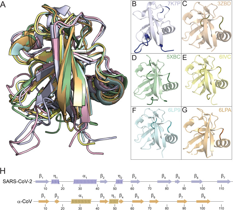 FIG 6