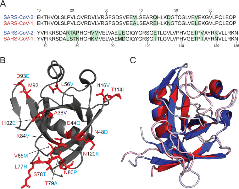 FIG 2