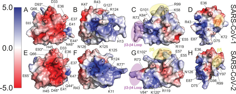 FIG 5