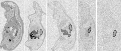 Fig. 2