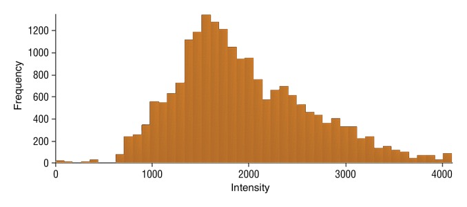 Figure 5e: