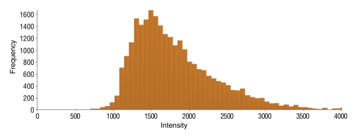 Figure 6e: