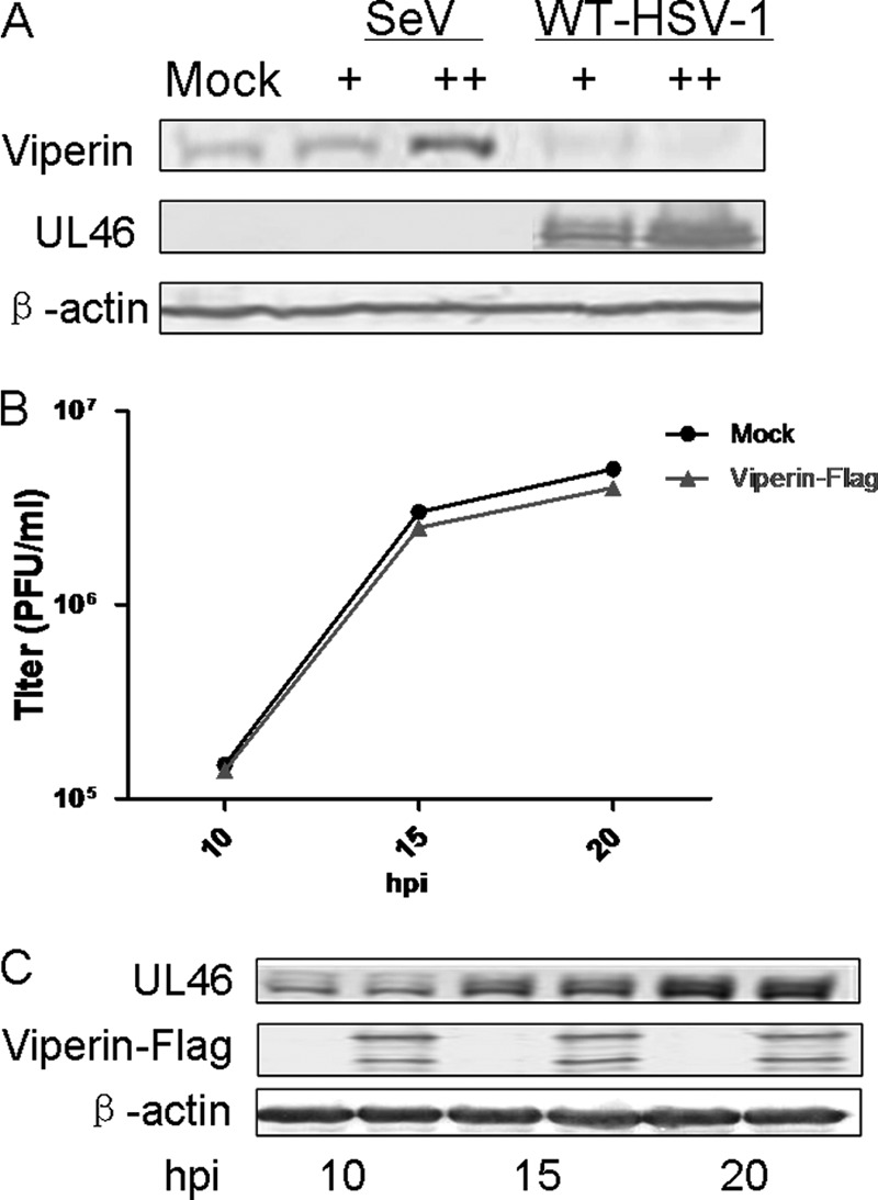 FIG 1