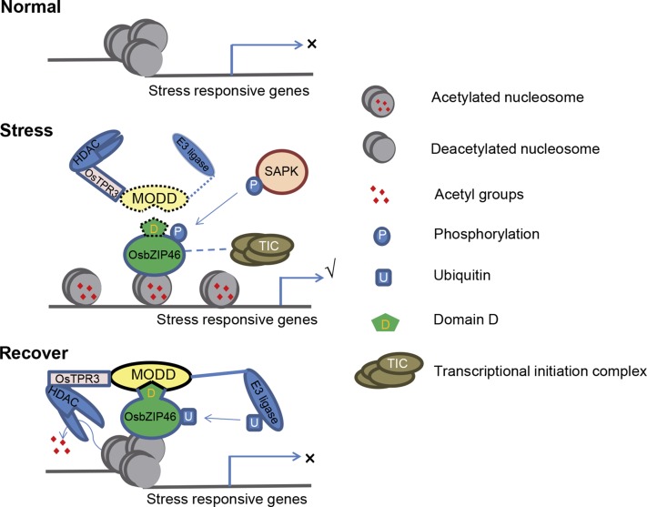 Figure 10.