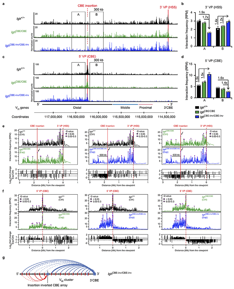 Extended Data Fig. 4