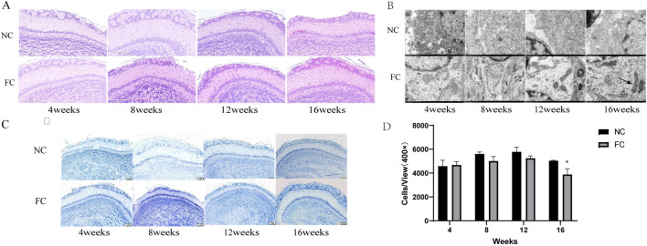 FIGURE 3