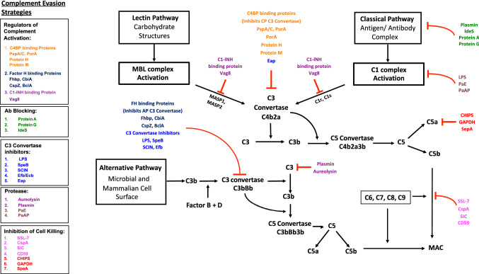 Fig. 1