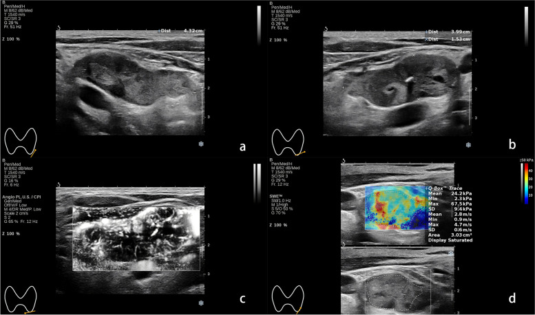 Fig. 5