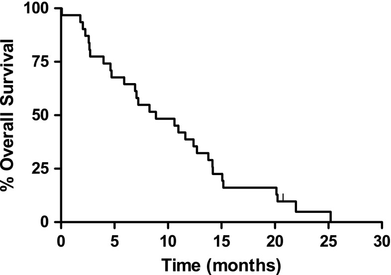 Fig. 2