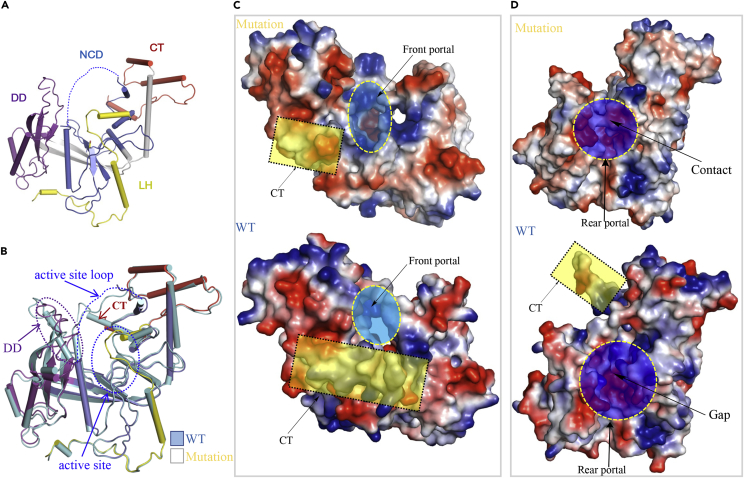 Figure 5