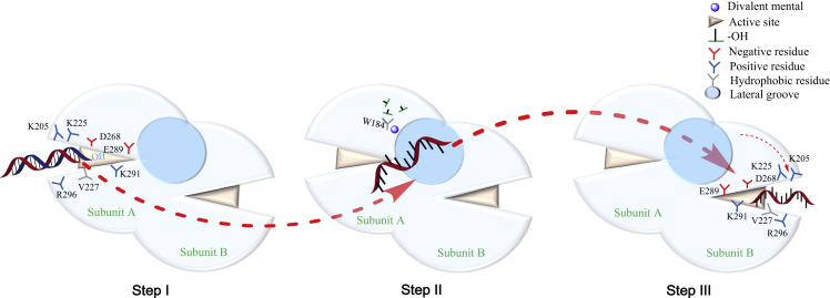 Figure 7