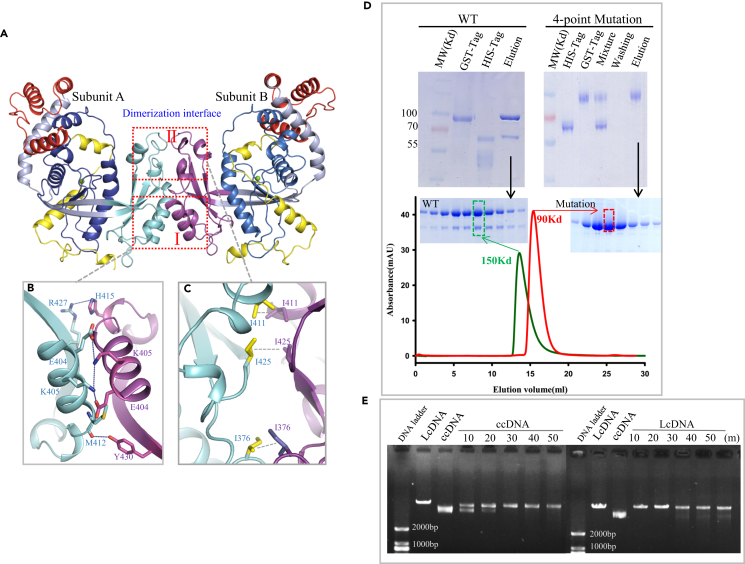 Figure 4