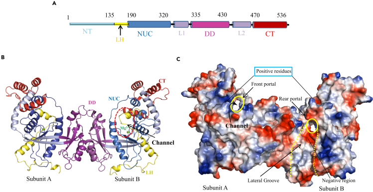 Figure 3