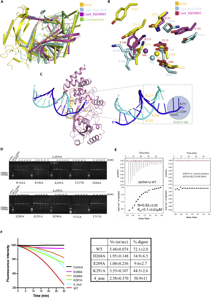 Figure 6