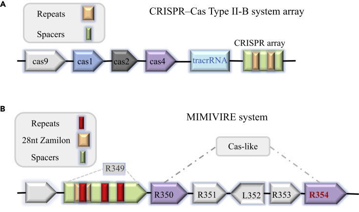 Figure 1