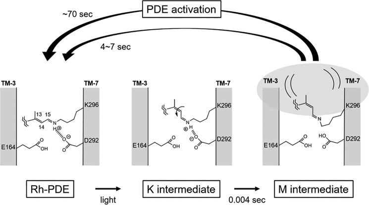 Figure 9.