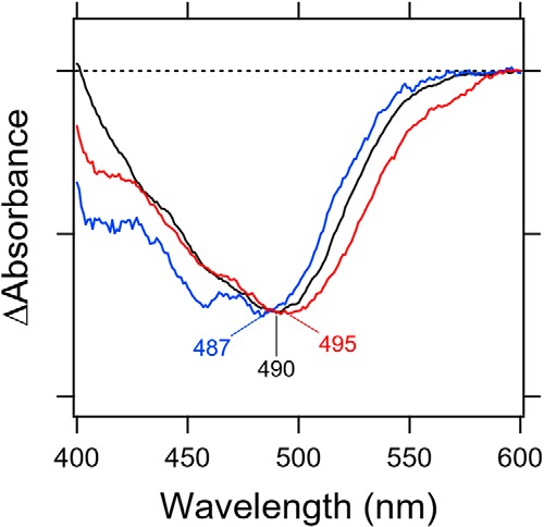 Figure 7.