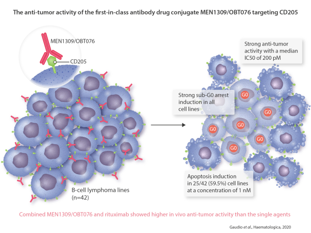 Graphical Abstract