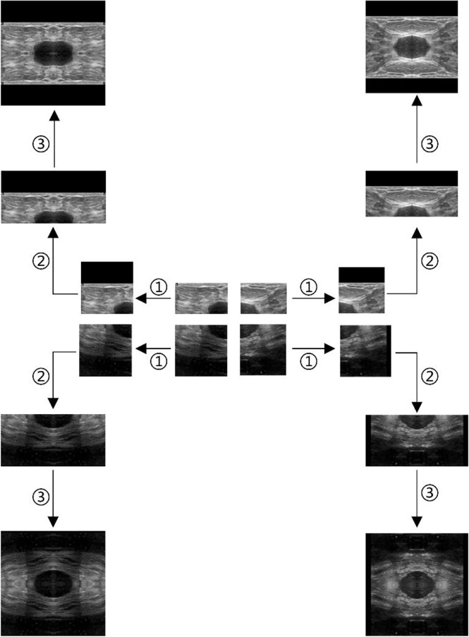 Figure 2