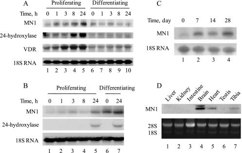 FIGURE 1.