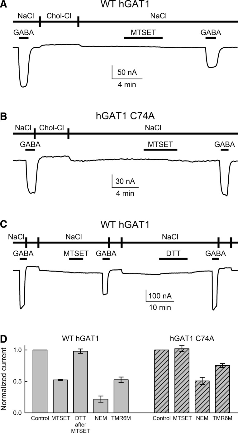 Fig. 1