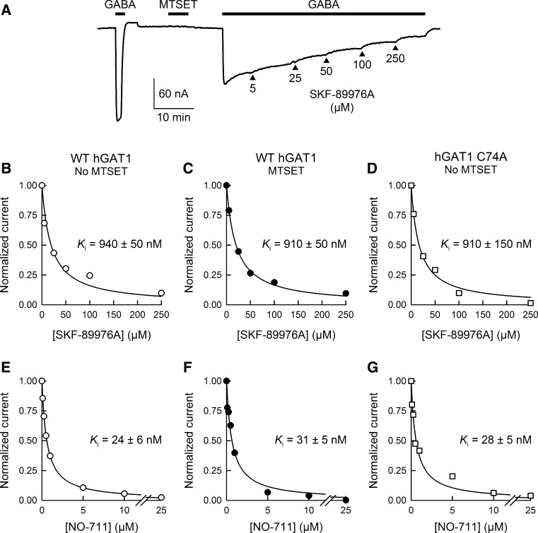 Fig. 7