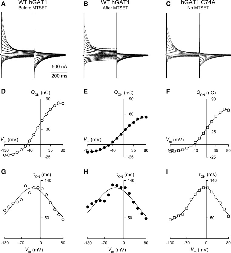 Fig. 8