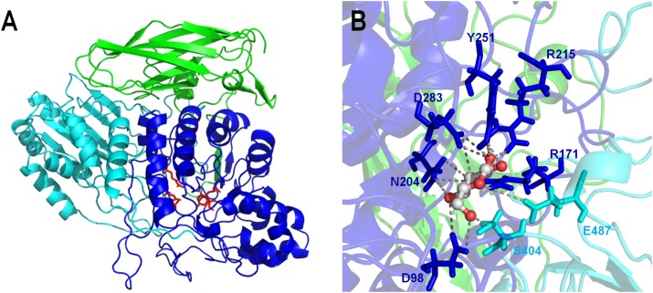 FIGURE 3