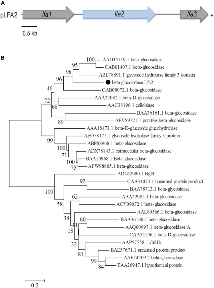 FIGURE 1