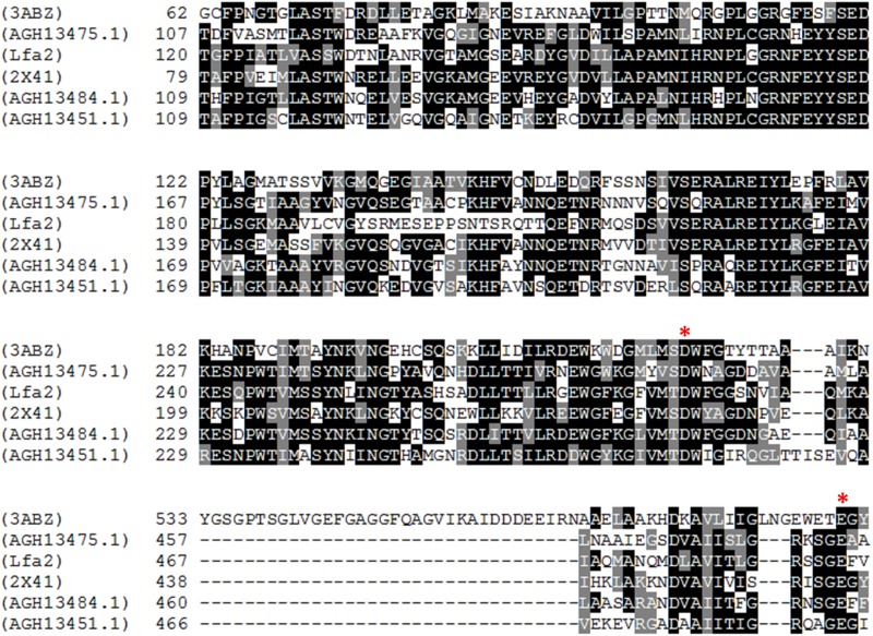 FIGURE 2