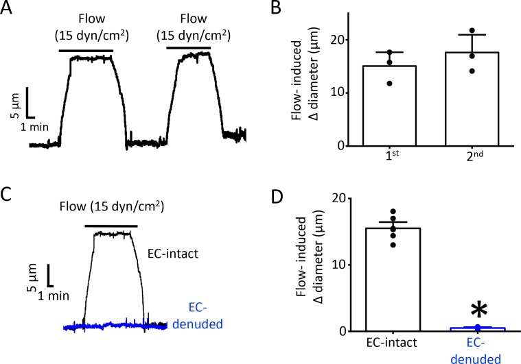 Figure 2—figure supplement 2.