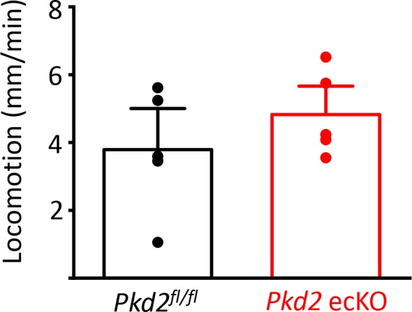 Figure 8—figure supplement 1.