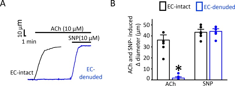 Figure 2—figure supplement 1.