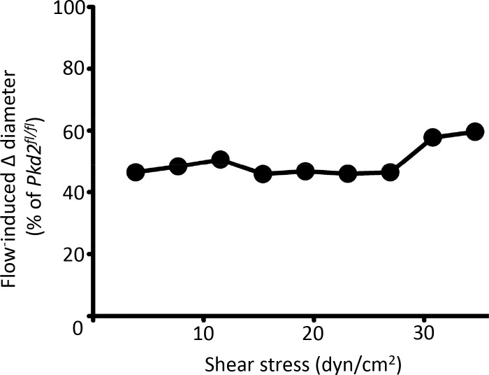 Figure 2—figure supplement 3.