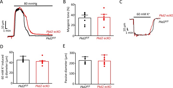 Figure 2—figure supplement 4.