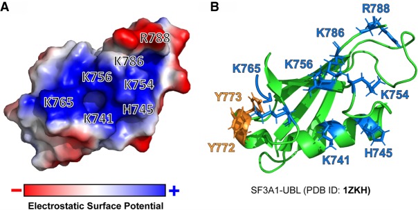 FIGURE 9.