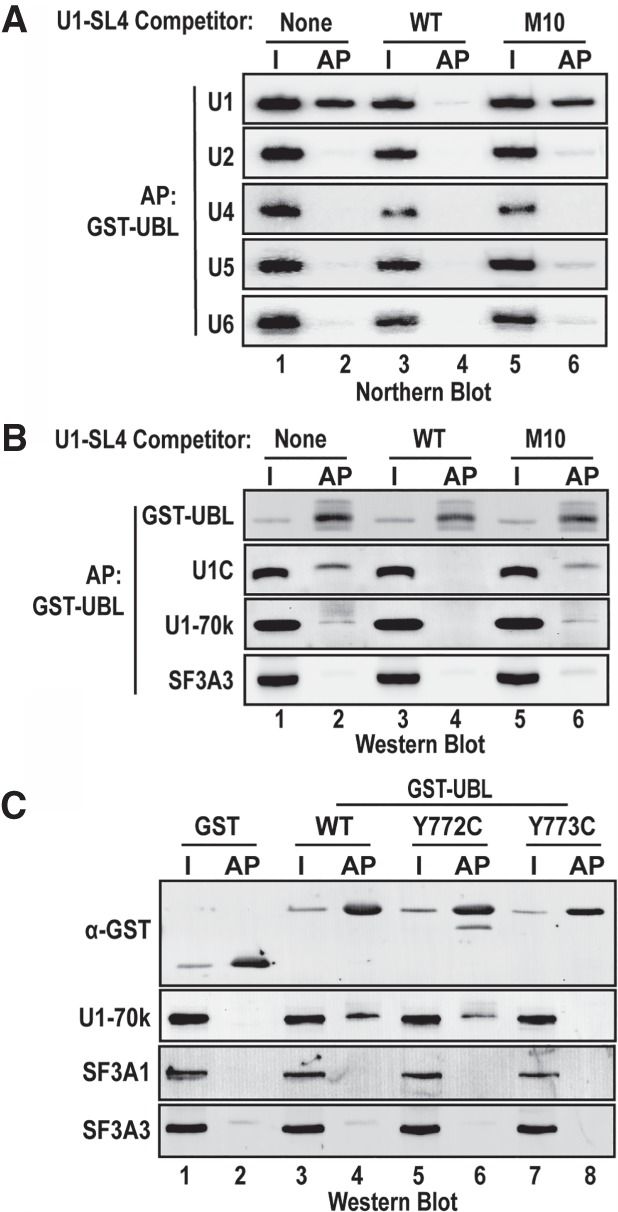 FIGURE 7.