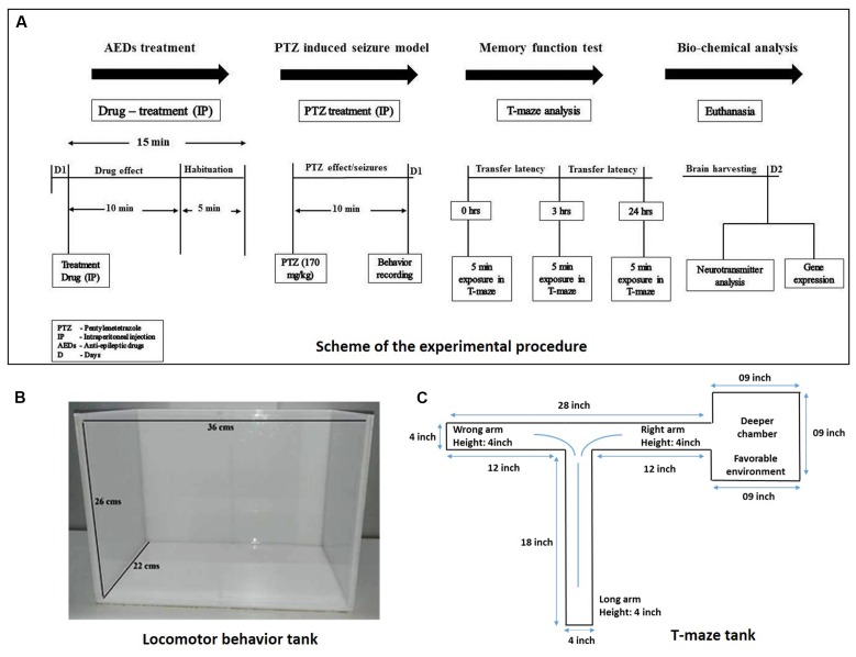 FIGURE 2