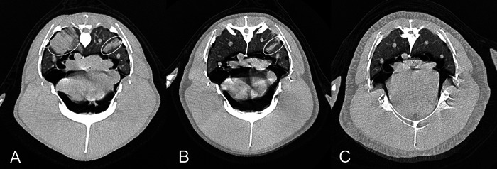 Fig. 5.