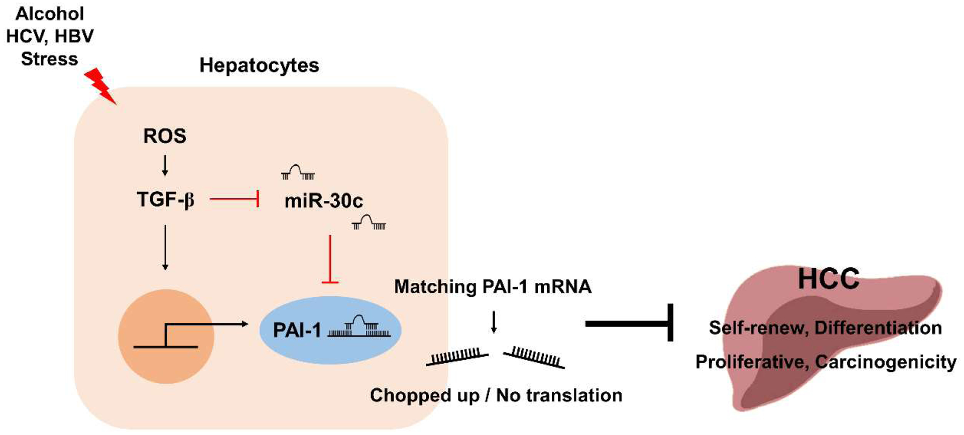 Figure 2: