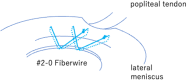 Fig 8