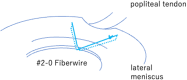 Fig 7