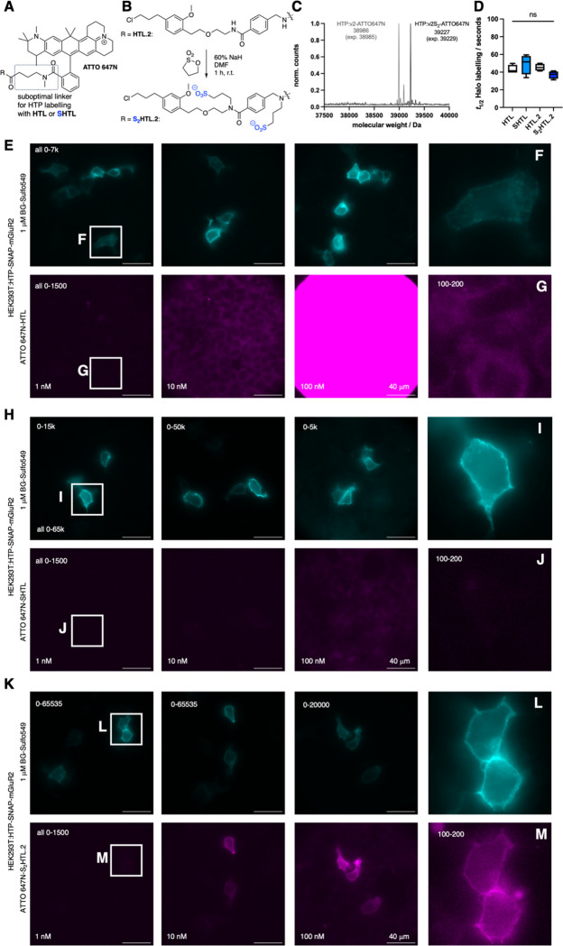 Figure 5: