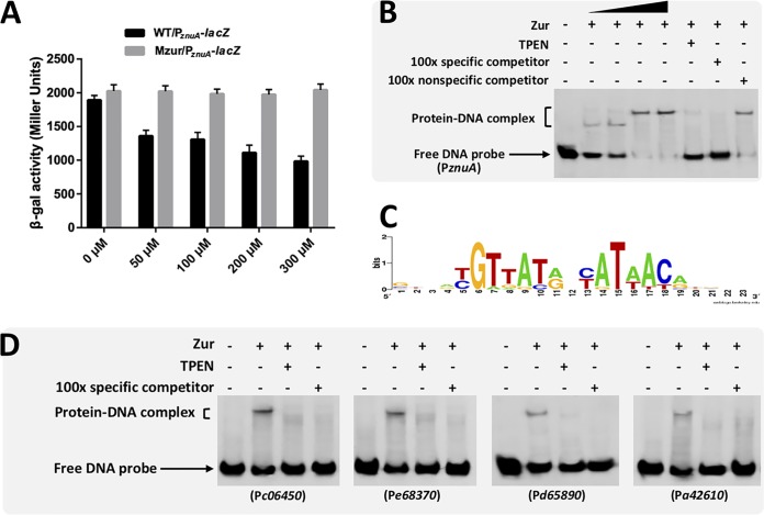 FIG 3