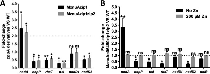 FIG 6